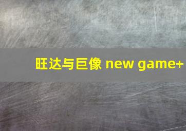 旺达与巨像 new game+